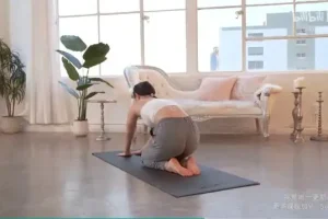 B站欧阳春晓28天女性减脂塑形课程：开启科学塑形之旅