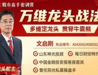 神光文启刚万维龙头战法课程：多维剖析龙头股投资技巧
