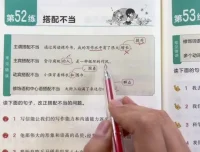 叶子老师小学语文句式修辞作文全攻略课程