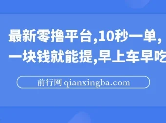 最新零撸项目平台：10秒一单，一元起提，抢占先机