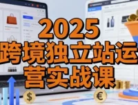 2025跨境独立站运营实战课：建站搭建、流量获取与转化优化全流程精讲