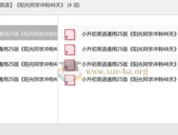 2025小升初英语冲刺：《阳光同学冲刺48天》备考资料