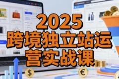 2025跨境独立站运营实战课：建站搭建、流量获取与转化优化全流程精讲