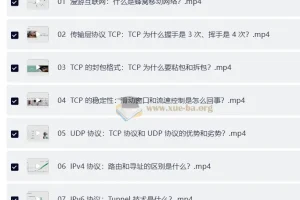 计算机网络通关29讲：系统化掌握网络核心知识