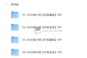 2026初中级审计师备考全攻略：双名师精讲+历年真题解析