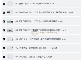 计算机网络通关29讲：系统化掌握网络核心知识