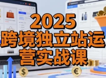 2025跨境独立站运营实战课：建站搭建、流量获取与转化优化全流程精讲