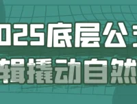 2025底层公式逻辑撬动自然流：千川投流与精准起号实战课程