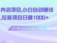 5月内训项目合集：小白自动赚钱与拉新实战教程