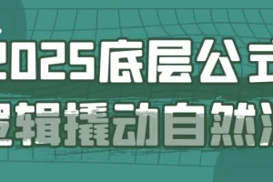 2025底层公式逻辑撬动自然流：千川投流与精准起号实战课程