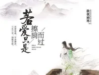 有声小说《若爱只是擦肩而过》43集全本