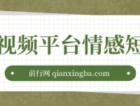 短视频平台情感短信项目，冷门暴利玩法，新手月入过万实操指南