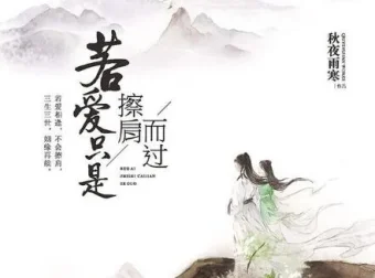 有声小说《若爱只是擦肩而过》43集全本