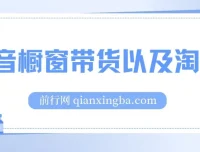 抖音橱窗带货与淘客运营实战教程