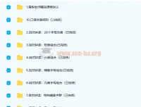 雪梨英语自然拼读完美发音课 9部合集附讲义