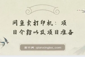 闲鱼卖打印机项目：2024最新玩法与实操指南