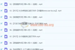 2024初二语文 柳宁语文 A+寒假班（春上）系统课程