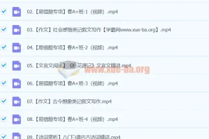 2024初二语文 柳宁语文 A+寒假班（春上）系统课程
