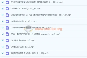 花卉摄影后期技法完全宝典：从基础到创意，葛宏军带你玩转花卉后期