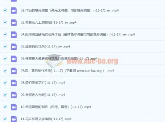 花卉摄影后期技法完全宝典：从基础到创意，葛宏军带你玩转花卉后期