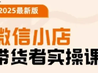 陈奶爸微信小店带货者实操课（2025升级版）——从入门到精通的系统运营指南