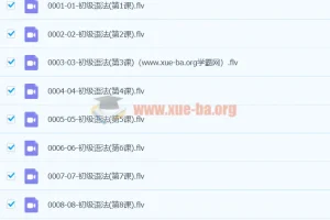 初中英语初级语法60课视频+PDF讲义合集