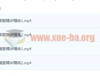 2024高中物理期末专项：高二下高频题型精讲训练