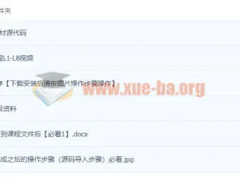 核桃编程L1-L8全套少儿编程视频网课教程（小武编程+核桃编程）