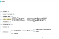 国学引流项目实操课程：风口变现全流程拆解，日引流100+月入3万