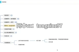 国学引流项目实操课程：风口变现全流程拆解，日引流100+月入3万