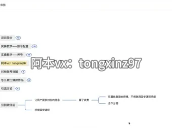 国学引流项目实操课程：风口变现全流程拆解，日引流100+月入3万