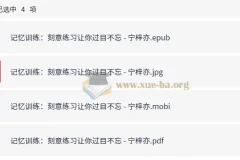 记忆训练：刻意练习让你过目不忘——宁梓亦作品合集