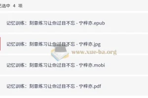 记忆训练：刻意练习让你过目不忘——宁梓亦作品合集