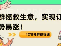 12节社群赚钱课：用社群拯救生意，实现订单逆势暴涨