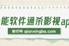 全能影视小说漫画聚合软件，蓝海项目实操教程，小白月入3万+，长期稳定可玩