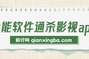 全能影视小说漫画聚合软件，蓝海项目实操教程，小白月入3万+，长期稳定可玩