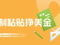复制粘贴赚美金：零门槛日入95美元实操教程，内部社群首次公开