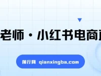 小红书电商运营实战课：直播带货+店铺运营+笔记运营+AI工具赋能全攻略