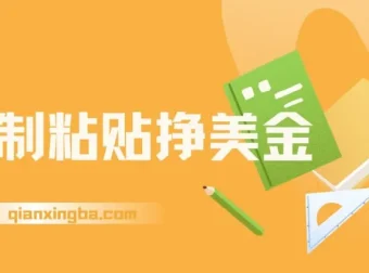 复制粘贴赚美金：零门槛日入95美元实操教程，内部社群首次公开