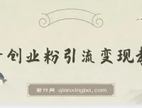 抖音创业粉引流卖课教程：揭秘项目玩法与变现逻辑