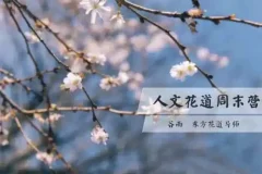人文花道美学营：跟随谷雨老师，在插花中寻回内心的宁静