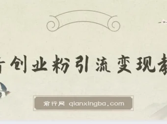 抖音创业粉引流卖课教程：揭秘项目玩法与变现逻辑