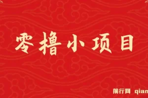 零撸小项目实操教程，单号月入60+，多号操作收益翻倍，拉新奖励18元/人