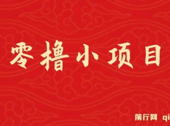 零撸小项目实操教程，单号月入60+，多号操作收益翻倍，拉新奖励18元/人