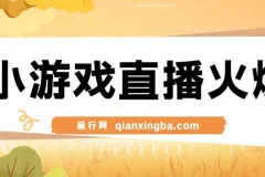 视频号直播小游戏新玩法，操作简单适合新手，单日收益500+