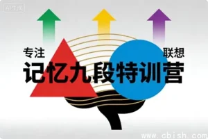 记忆九段特训营：系统化记忆训练课程，科学提升大脑效能