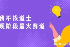我不找道士：现阶段火爆赛道，单日变现2000+，全套教学流程详解