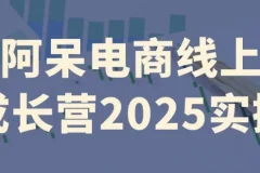 阿呆电商线上成长营2025实操课程