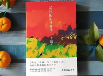 李娟有声书《遥远的向日葵地》全20集 豆瓣9.0高分作品