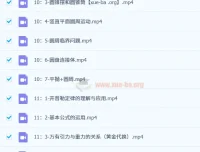 赵玉峰物理高一VIP全年班+高二VIP全年班 力学电磁学系统课程